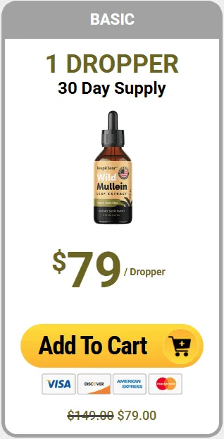 Offer 1