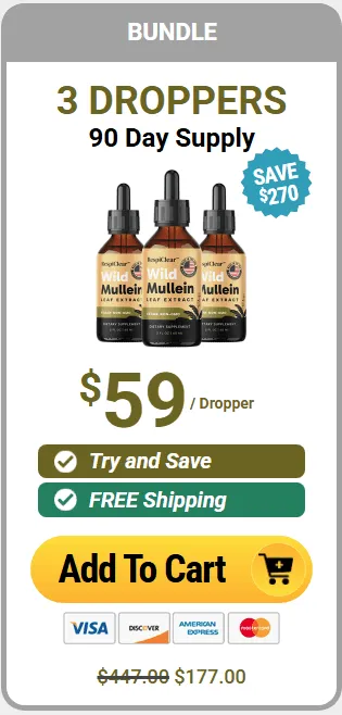 Offer 3